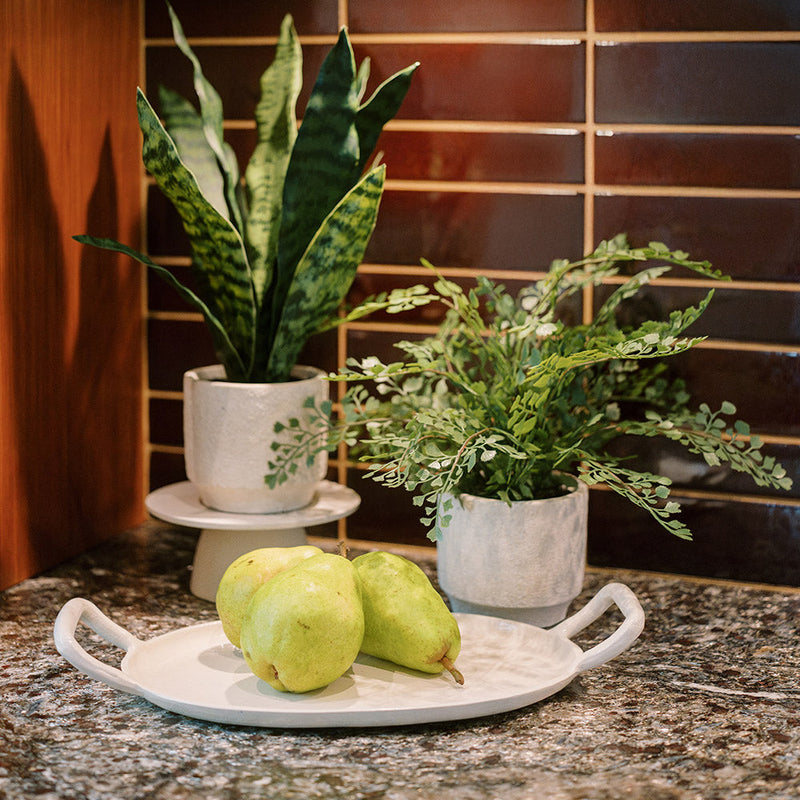 Artificial snake plant with fern duo in neutral pot