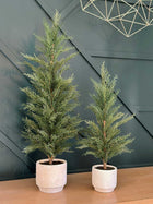Artificial Cedar Tree in Cream Pot