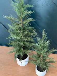 Artificial Cedar Tree in Cream Pot