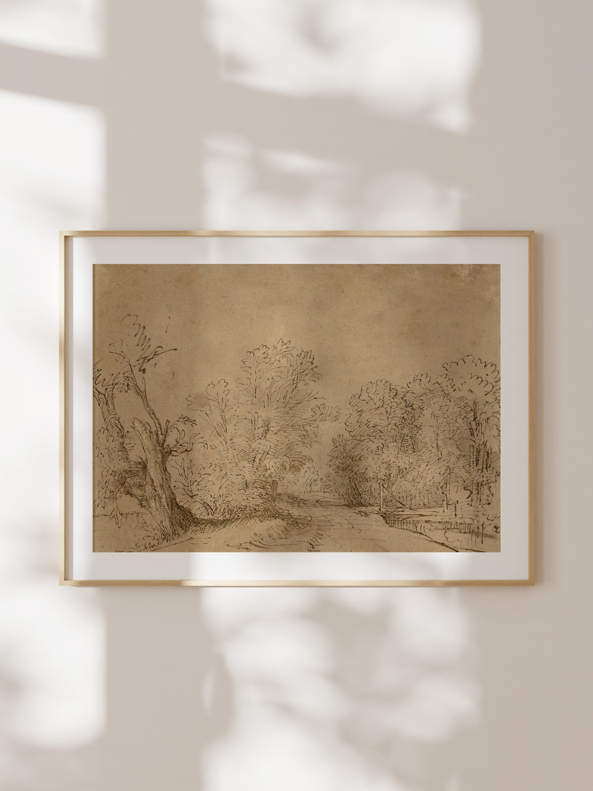 Charcoal Road