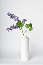 Purple Lilac Stems an Leaves