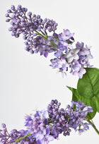 Purple Lilac Stems an Leaves