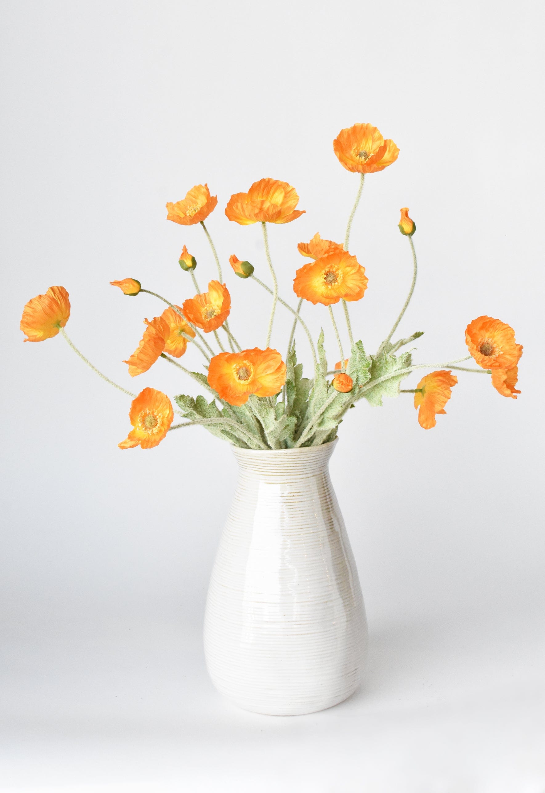 Orange Poppy Flowers
