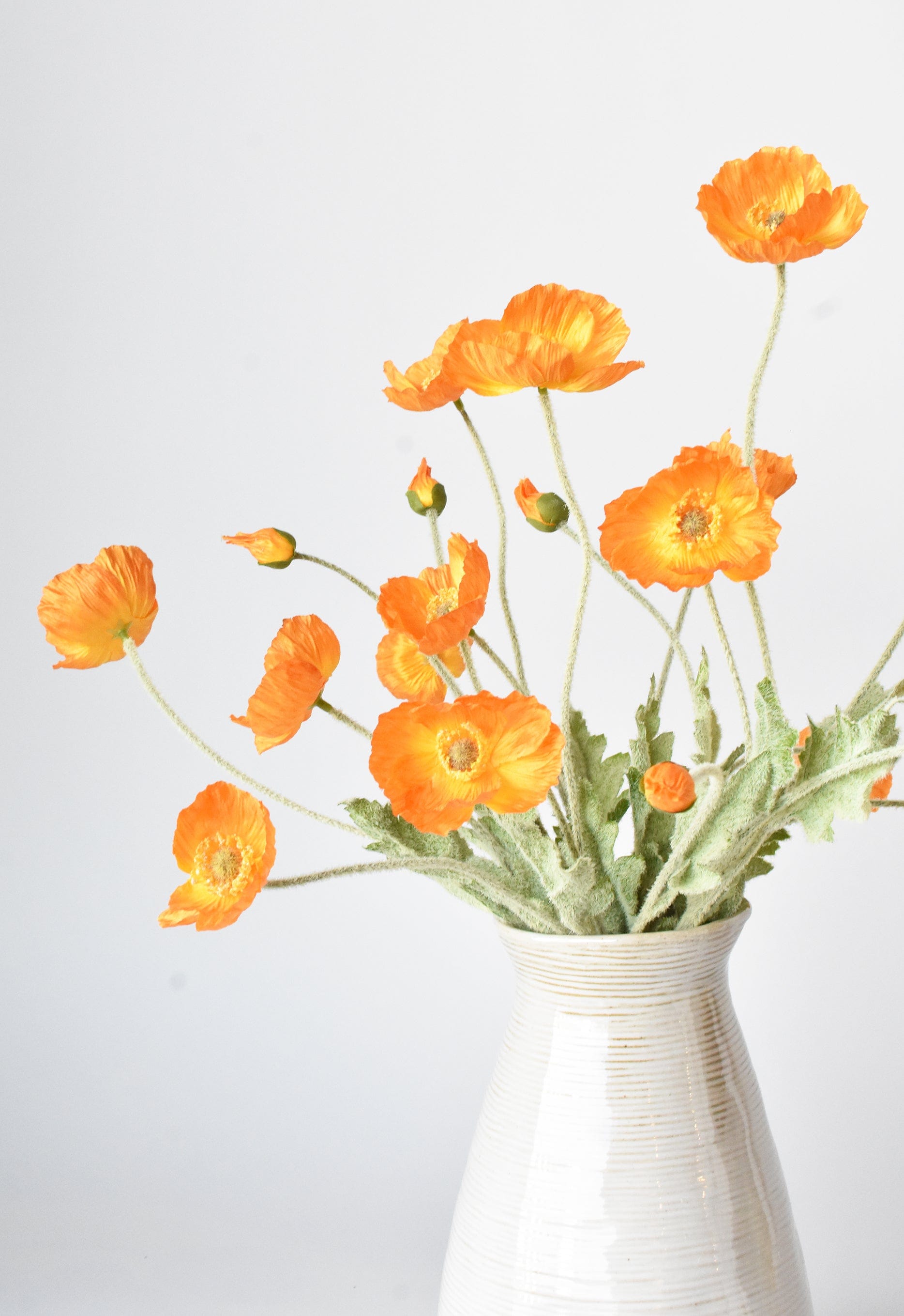 Orange Poppy Flowers