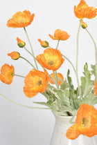 Orange Poppy Flowers