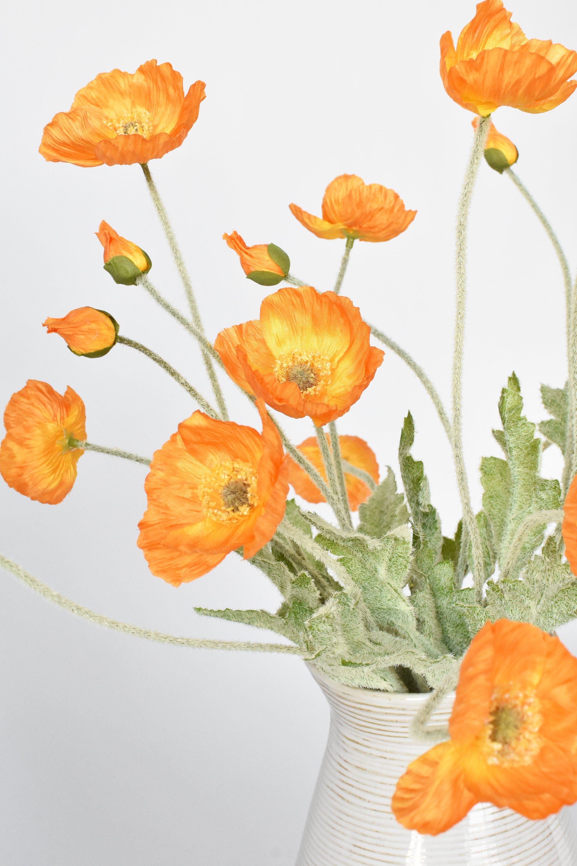Orange Poppy Flowers