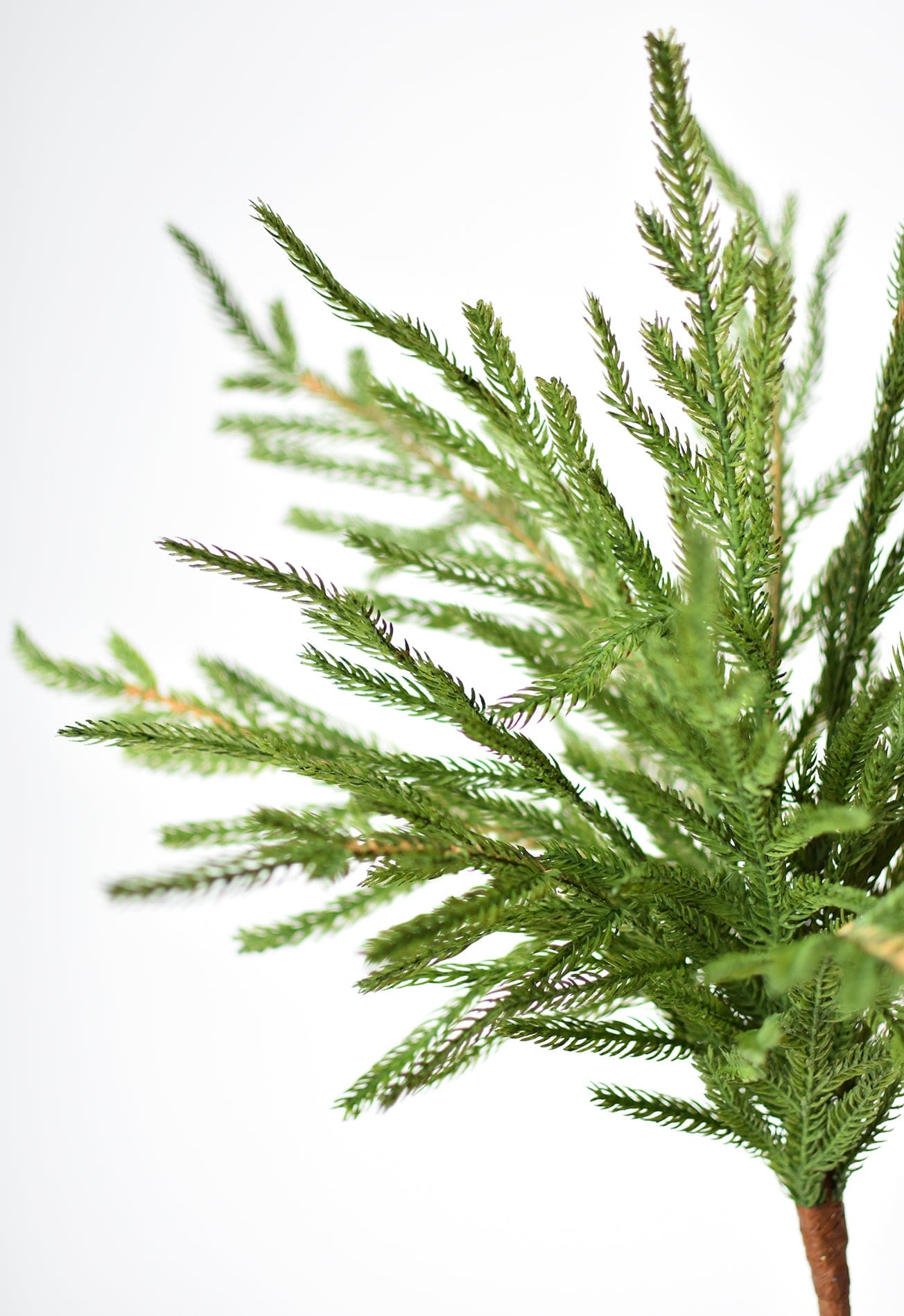 Realistic Artificial Norfolk pine stem for holiday décor