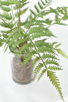 Lifelike Artificial greenery fern in glass vase centerpiece