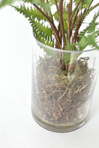 25" Artificial Forest Fern in Glass Vase