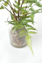 25" Artificial Forest Fern in Glass Vase