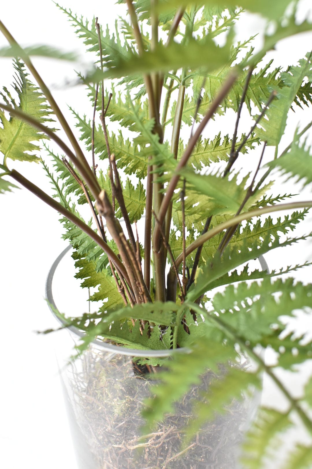 25" Artificial Forest Fern in Glass Vase