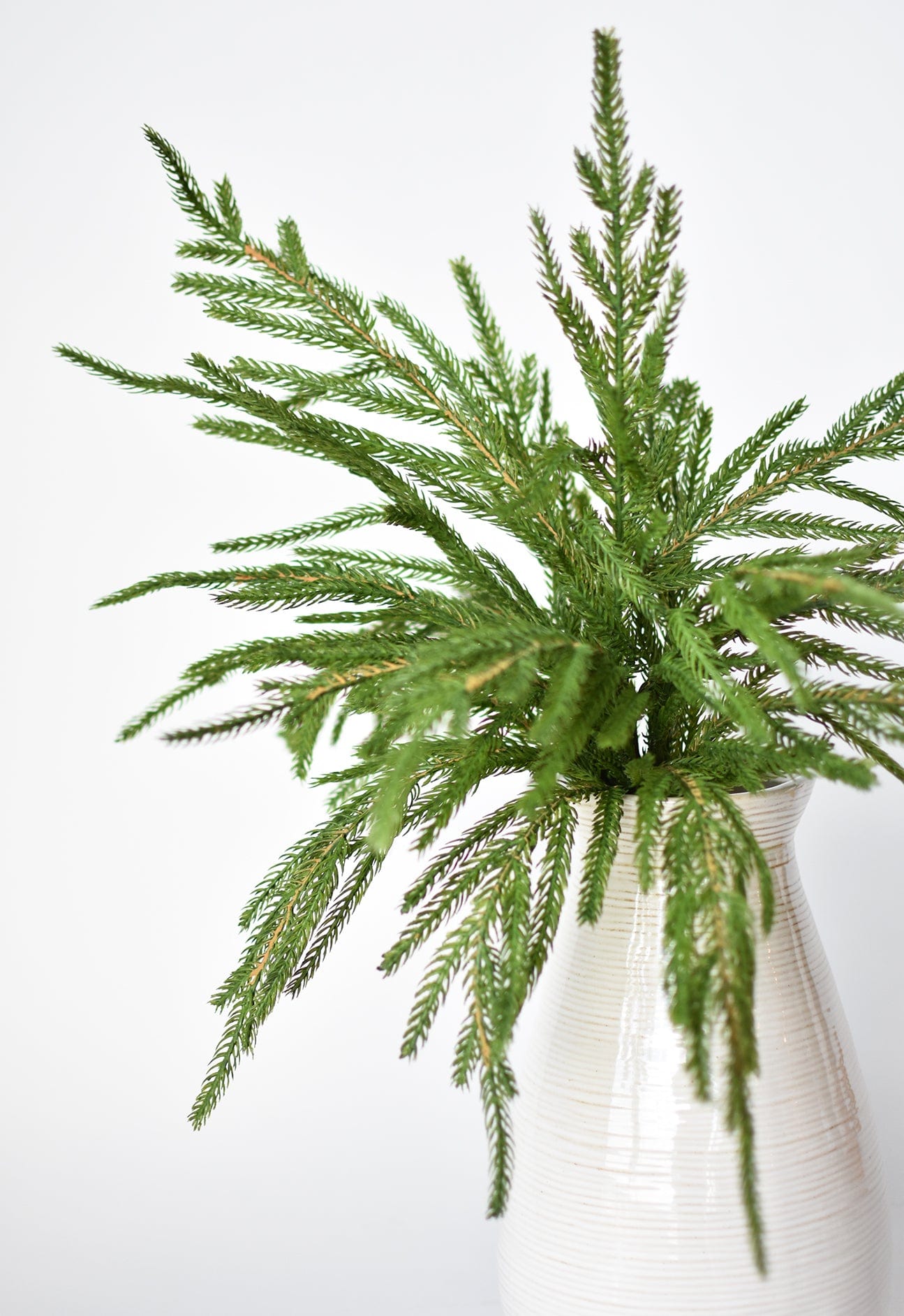 20" Artificial Green Norfolk Pine Bush