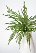 20" Artificial Green Norfolk Pine Bush