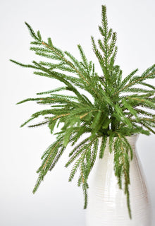 20" Artificial Green Norfolk Pine Bush