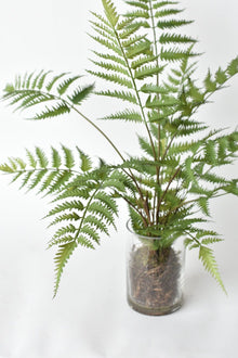 Artificial fern arrangement with wired stems in cylinder vase