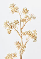 17" Artificial Cream Sedum Spray Stem