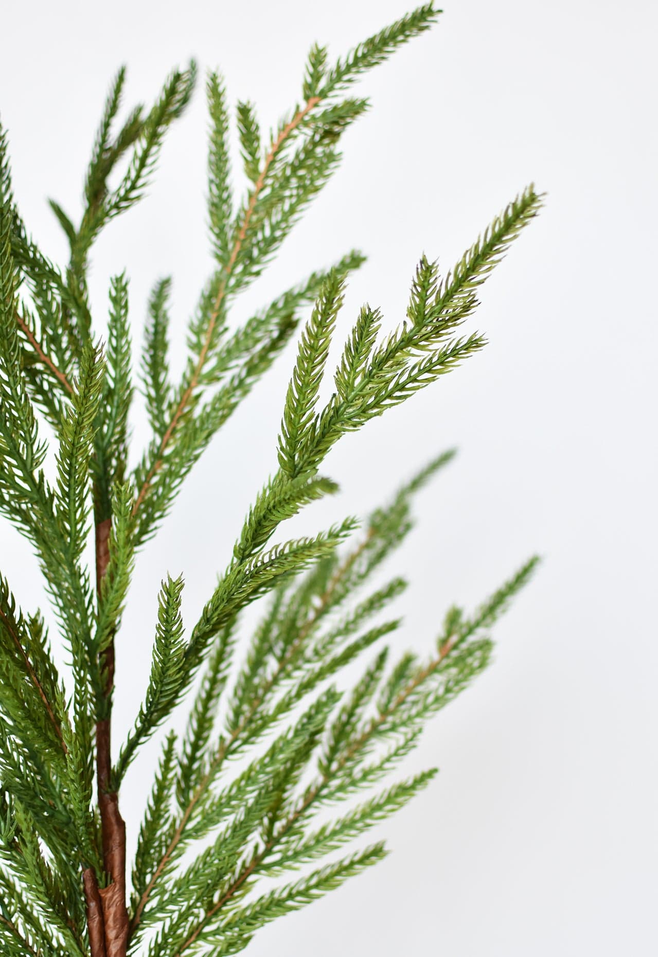 36" Faux Green Norfolk Pine – Realistic Cypress Spray Stem