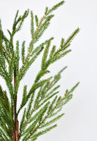 36" Faux Green Norfolk Pine – Realistic Cypress Spray Stem