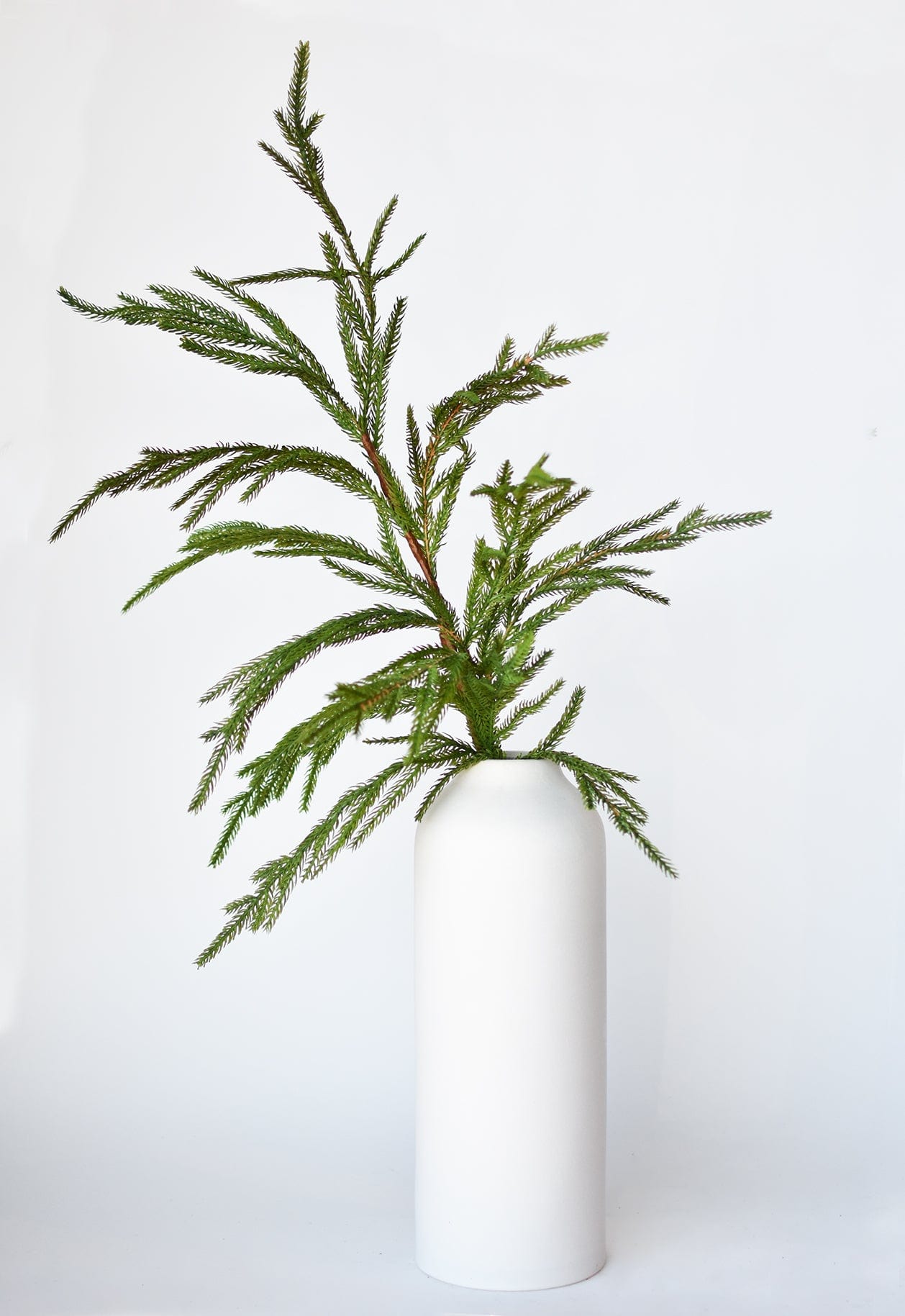 36" Faux Green Norfolk Pine – Realistic Cypress Spray Stem