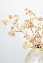 17" Artificial Cream Sedum Spray Stem