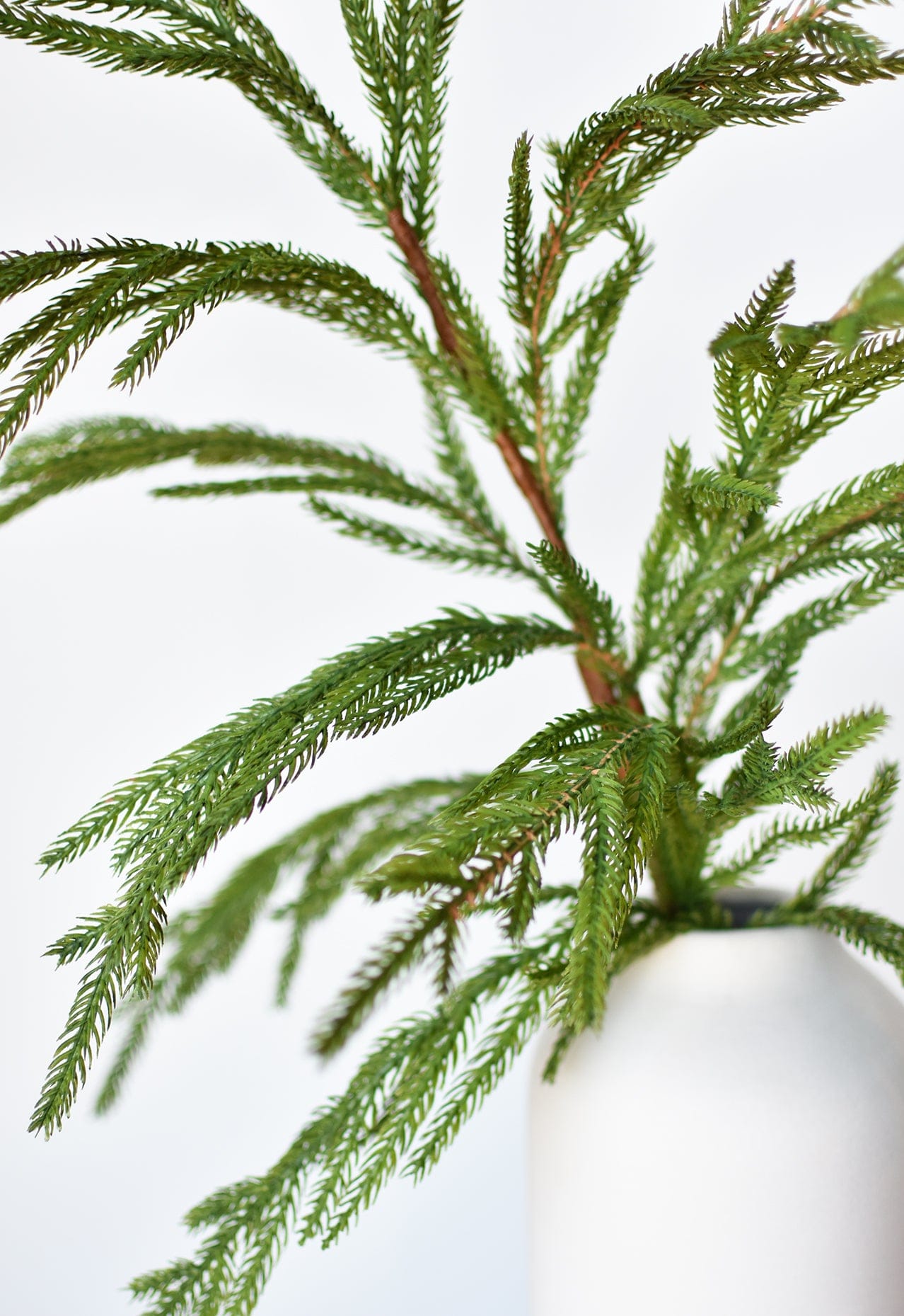 36" Faux Green Norfolk Pine – Realistic Cypress Spray Stem