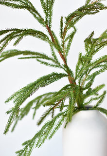 36" Faux Green Norfolk Pine – Realistic Cypress Spray Stem