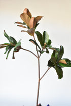 Tall Artificial magnolia stem for vases and greenery arrangements