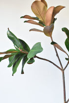 40" Artificial Magnolia Leaf Branch