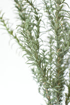 Artificial rosemary greenery stem for pots and arrangements