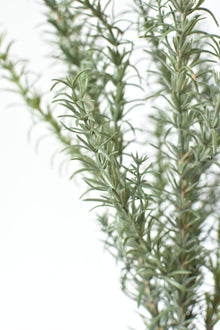 Artificial rosemary greenery stem for pots and arrangements