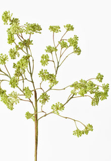 16" Artificial Soft Green Sedum Berry Stem