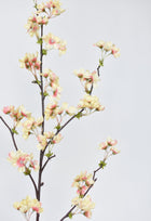 36" Artificial Quince Blossom Apricot Cream Stem Flowering Branch
