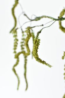 35" Artificial Fuzzy Amaranthus Branch Stem