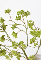 16" Artificial Soft Green Sedum Berry Stem