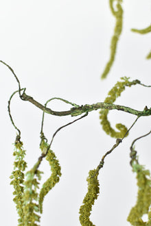 35" Artificial Fuzzy Amaranthus Branch Stem