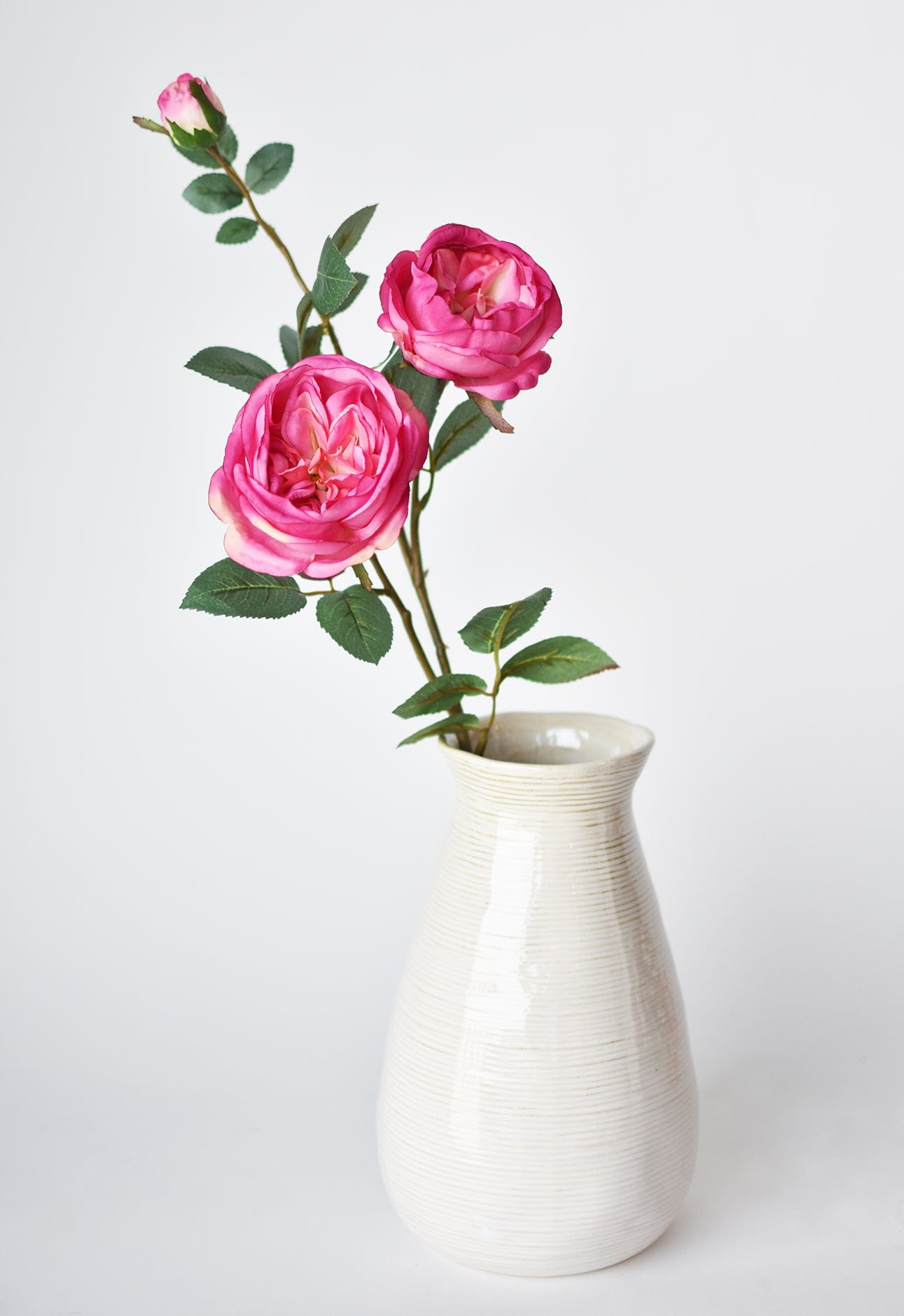 Fuchsia Cabbage Rose Stem