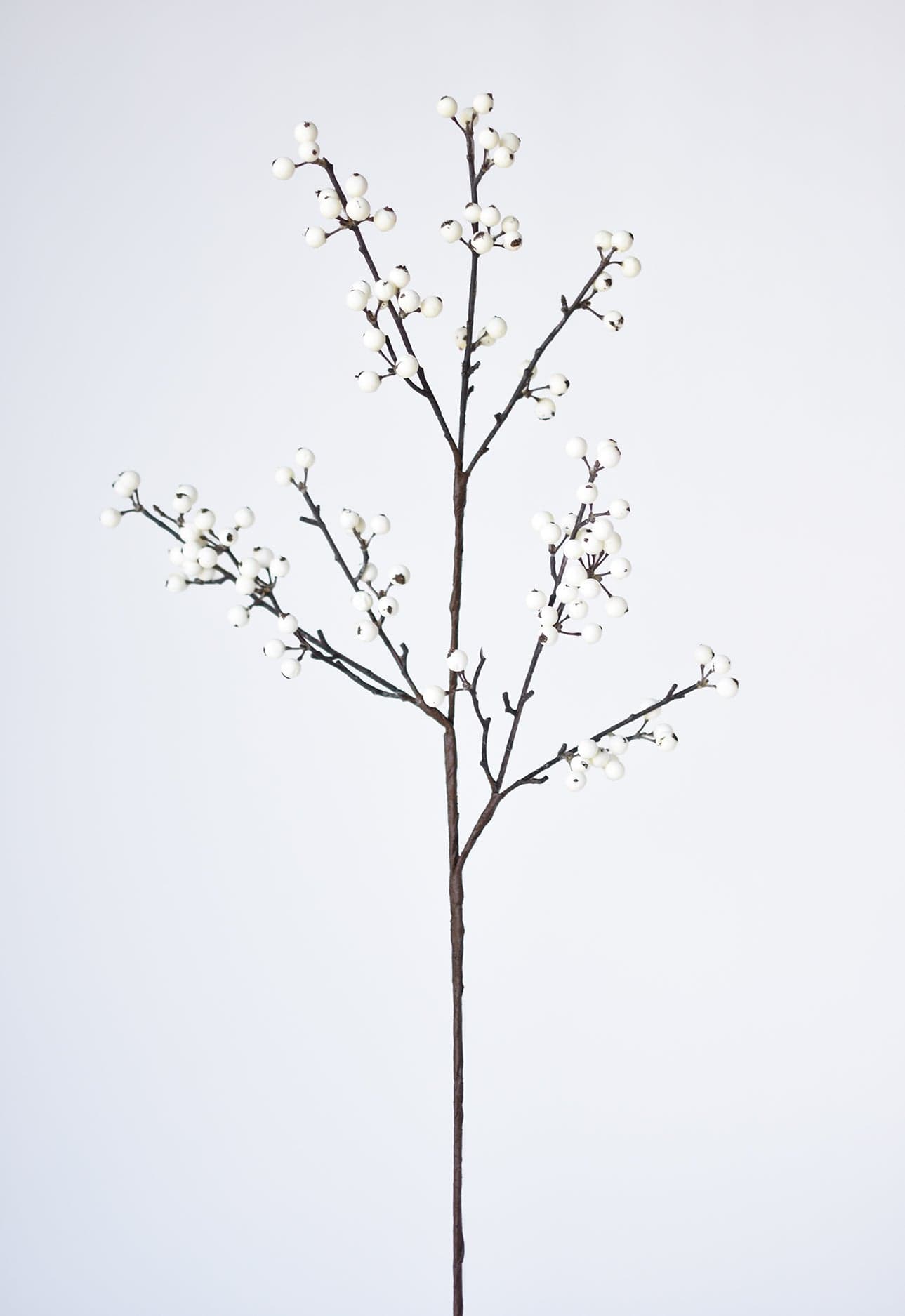 Berry Branch Stem