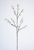 Berry Branch Stem