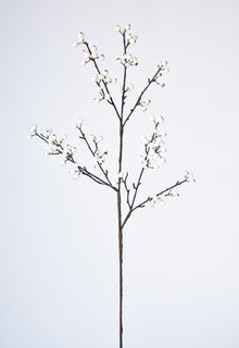 Berry Branch Stem