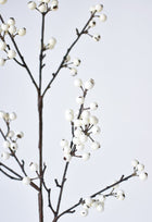 Berry Branch Stem