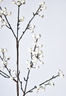Berry Branch Stem
