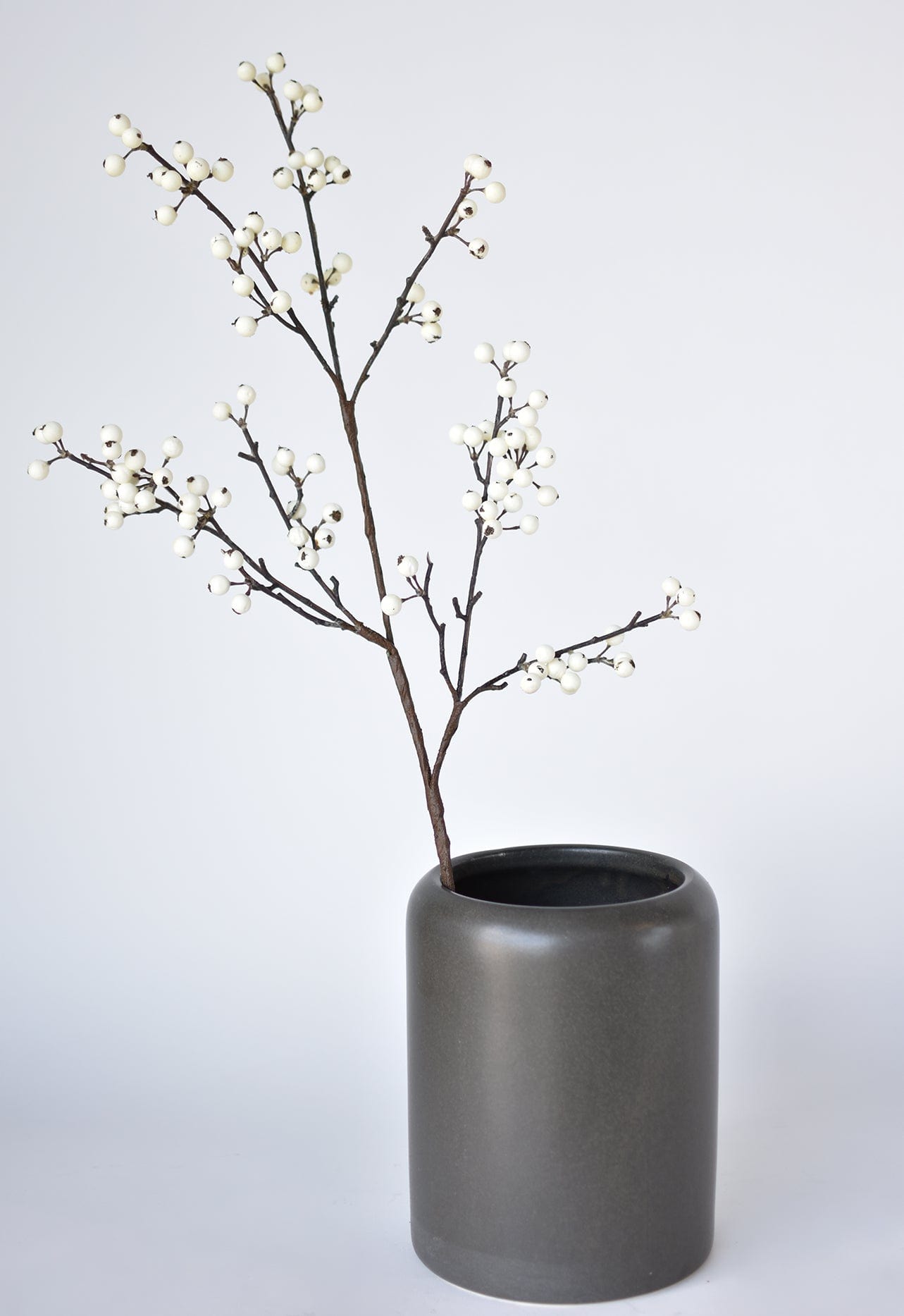 Berry Branch Stem