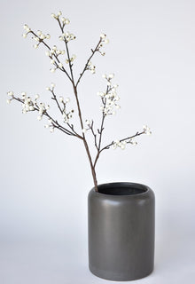 Berry Branch Stem