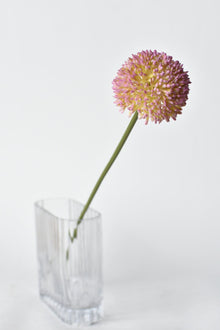Lavender Allium Flower
