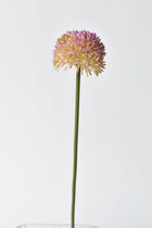 Lavender Allium Flower