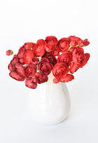 Red Ranunculus Stem Bundle