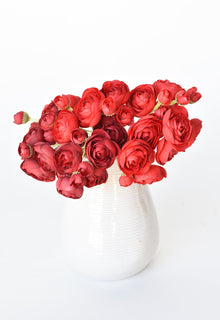 Red Ranunculus Stem Bundle