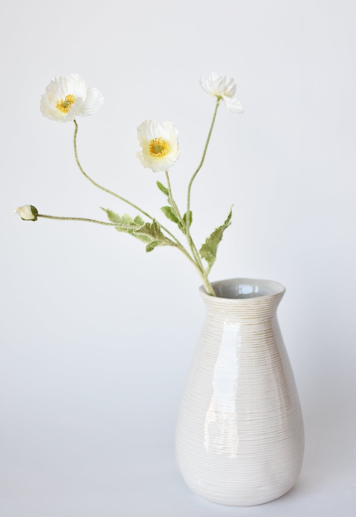 White Poppy Stem