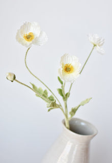 White Poppy Stem
