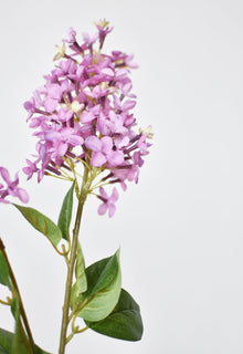 28.5" Artificial Light Purple English Lilac Stem